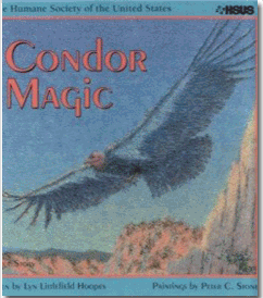 Condor Magic